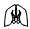 Headlamp and Fog Lamp Kit pattern for the 2011 Toyota RAV4