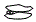 Headlamp and Fog Lamp Kit pattern for the 2011 Nissan Murano