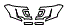 Headlamp and Fog Lamp Kit pattern for the 2019 Ford Expedition