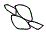 Headlamp and Fog Lamp Kit pattern for the 2016 Chevrolet Equinox