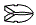 Headlamp and Fog Lamp Kit pattern for the 2008 Lexus LS 460