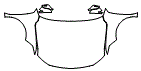 Full Hood, Fender and Mirror Kit pattern for the 2022 Toyota Avalon