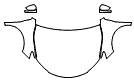 Full Hood, Fender and Mirror Kit pattern for the 2016 Toyota Camry