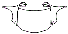 Full Hood, Fender and Mirror Kit pattern for the 2024 Toyota Camry Hybrid