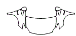 Full Hood, Fender and Mirror Kit pattern for the 2011 Toyota Prius