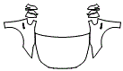 Full Hood, Fender and Mirror Kit pattern for the 2016 Toyota Prius