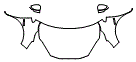 Full Hood, Fender and Mirror Kit pattern for the 2019 Toyota Prius c