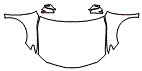Full Hood, Fender and Mirror Kit pattern for the 2024 Toyota Camry Hybrid