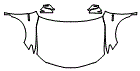 Full Hood, Fender and Mirror Kit pattern for the 2024 Toyota Camry Hybrid