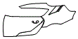 Rear Fender and Door Kit pattern for the 2021 Toyota GR Supra