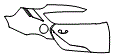 Rear Fender and Door Kit pattern for the 2021 Toyota GR Supra