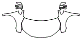 Full Hood, Fender and Mirror Kit pattern for the 2027 Honda Odyssey