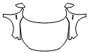 Full Hood, Fender and Mirror Kit pattern for the 2022 Honda Insight
