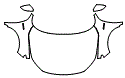 Full Hood, Fender and Mirror Kit pattern for the 2022 Honda Insight