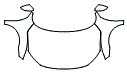 Full Hood, Fender and Mirror Kit pattern for the 2016 Honda Civic