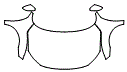 Full Hood, Fender and Mirror Kit pattern for the 2016 Honda Civic