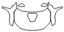 Full Hood, Fender and Mirror Kit pattern for the 2021 Honda Civic