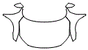 Full Hood, Fender and Mirror Kit pattern for the 2021 Honda Civic