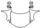 Full Hood, Fender and Mirror Kit pattern for the 2016 Honda Accord
