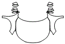 Full Hood, Fender and Mirror Kit pattern for the 2016 Honda Accord