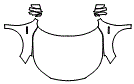Full Hood, Fender and Mirror Kit pattern for the 2017 Honda Accord