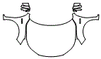 Full Hood, Fender and Mirror Kit pattern for the 2017 Honda Accord