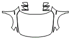 Full Hood, Fender and Mirror Kit pattern for the 2019 Honda Accord