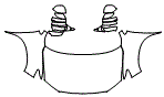 Full Hood, Fender and Mirror Kit pattern for the 2026 Honda Ridgeline