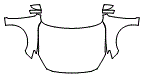 Full Hood, Fender and Mirror Kit pattern for the 2018 Mazda MAZDA3