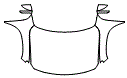 Full Hood, Fender and Mirror Kit pattern for the 2023 Mazda MX-30 EV