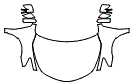 Full Hood, Fender and Mirror Kit pattern for the 2014 Nissan Altima