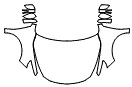 Full Hood, Fender and Mirror Kit pattern for the 2017 Nissan Altima