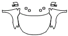Full Hood, Fender and Mirror Kit pattern for the 2016 Nissan Sentra