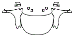 Full Hood, Fender and Mirror Kit pattern for the 2016 Nissan Sentra