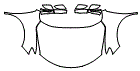 Full Hood, Fender and Mirror Kit pattern for the 2016 Nissan Rogue