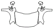 Full Hood, Fender and Mirror Kit pattern for the 2026 Ford F-150