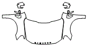 Fender, Full Hood and Mirror Kit pattern for the 2021 Ford F-150