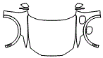 Full Hood, Fender and Mirror Kit pattern for the 2026 Ford Mustang Mach-E