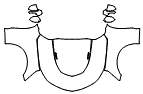 Full Hood, Fender and Mirror Kit pattern for the 2024 Chevrolet Camaro