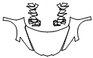 Full Hood, Fender and Mirror Kit pattern for the 2027 Chevrolet Corvette