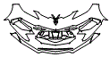 Bumper Kit pattern for the 2022 Chevrolet Corvette