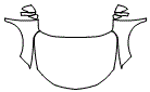 Full Hood, Fender and Mirror Kit pattern for the 2026 Chevrolet Blazer