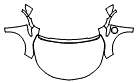 Full Hood, Fender and Mirror Kit pattern for the 2013 Chevrolet Volt