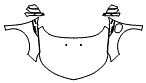 Full Hood, Fender and Mirror Kit pattern for the 2019 Chevrolet Volt