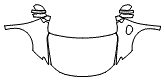 Full Hood, Fender and Mirror Kit pattern for the 2017 Chrysler Pacifica