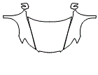 Full Hood, Fender and Mirror Kit pattern for the 2005 Acura 3.5RL