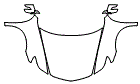 Full Hood, Fender and Mirror Kit pattern for the 2013 Acura RL