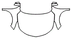 Full Hood, Fender and Mirror Kit pattern for the 2026 Acura RDX