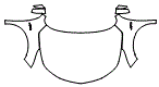 Full Hood, Fender and Mirror Kit pattern for the 2026 Acura RDX