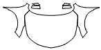 Full Hood, Fender and Mirror Kit pattern for the 2026 Acura RDX